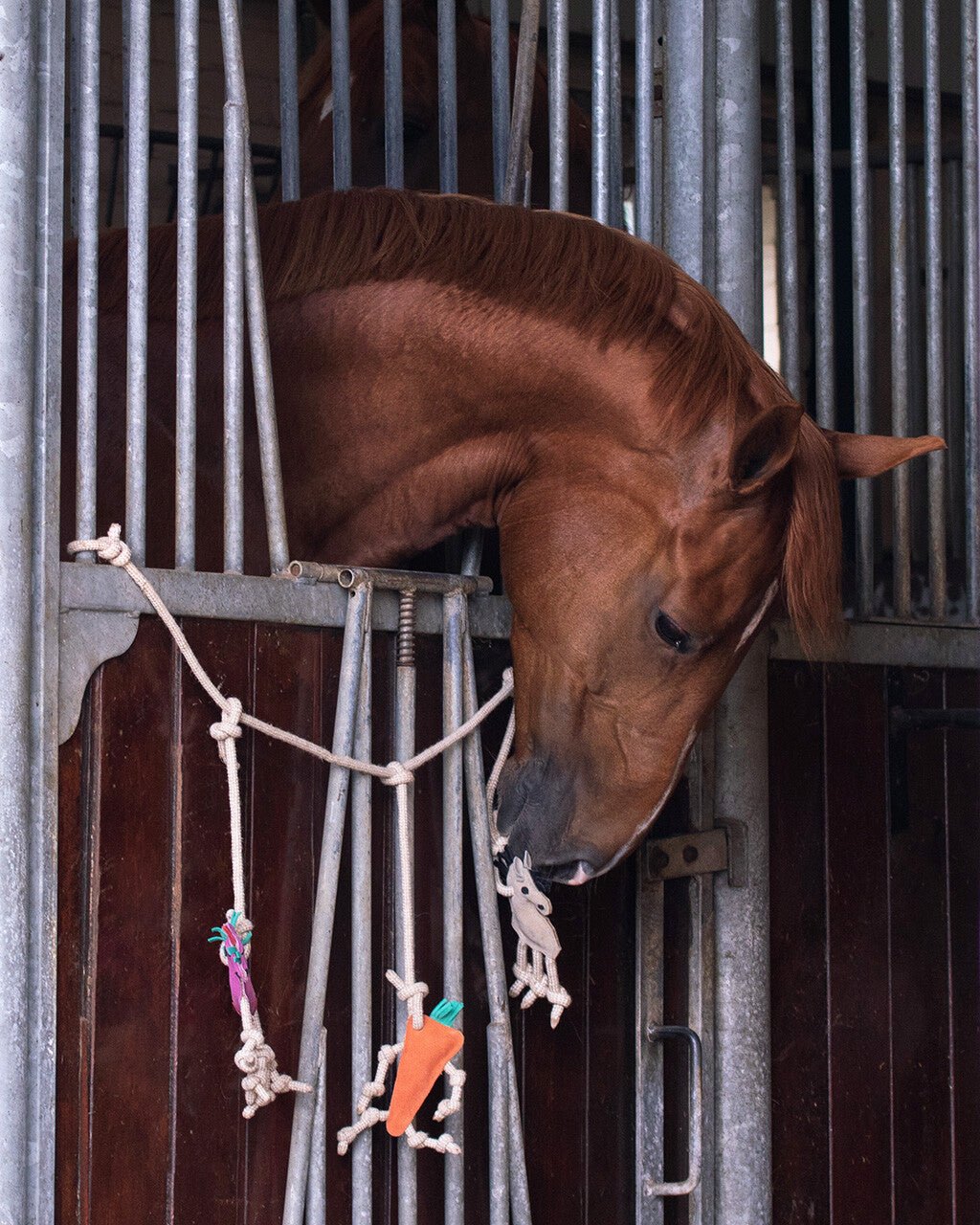 Horse toy box hanger - Nags Essentials