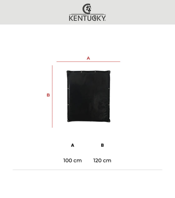 Kentucky Stable and Trailer Kick Pad