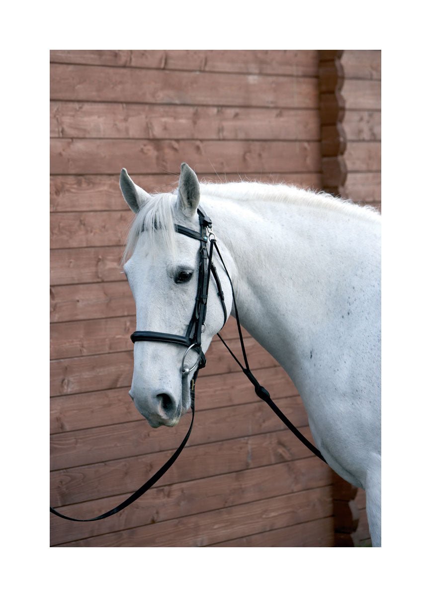 Hy Equestrian Chambon - Nags Essentials