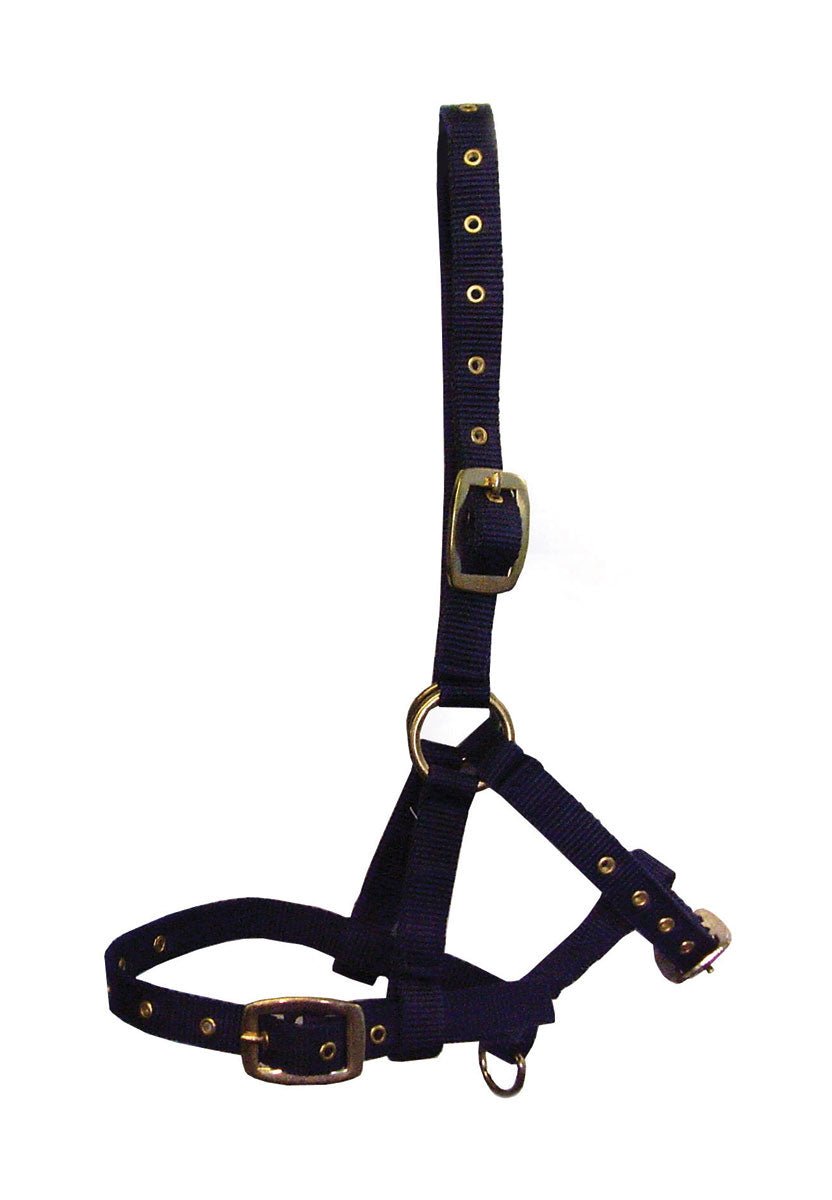 Hy Foal Head Collar - Nags Essentials