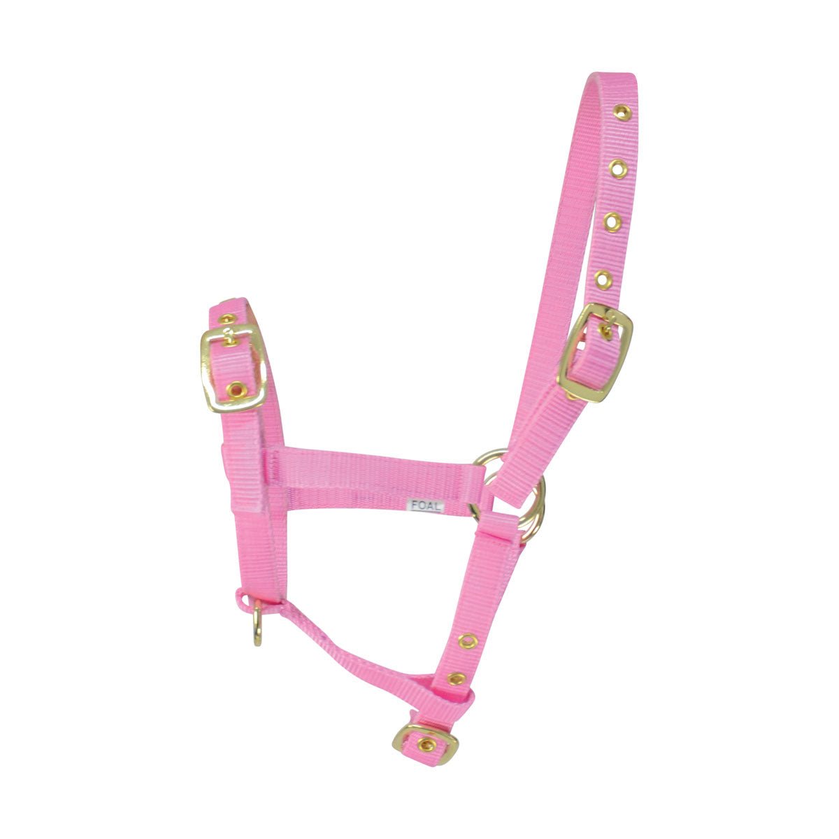 Hy Foal Head Collar - Nags Essentials
