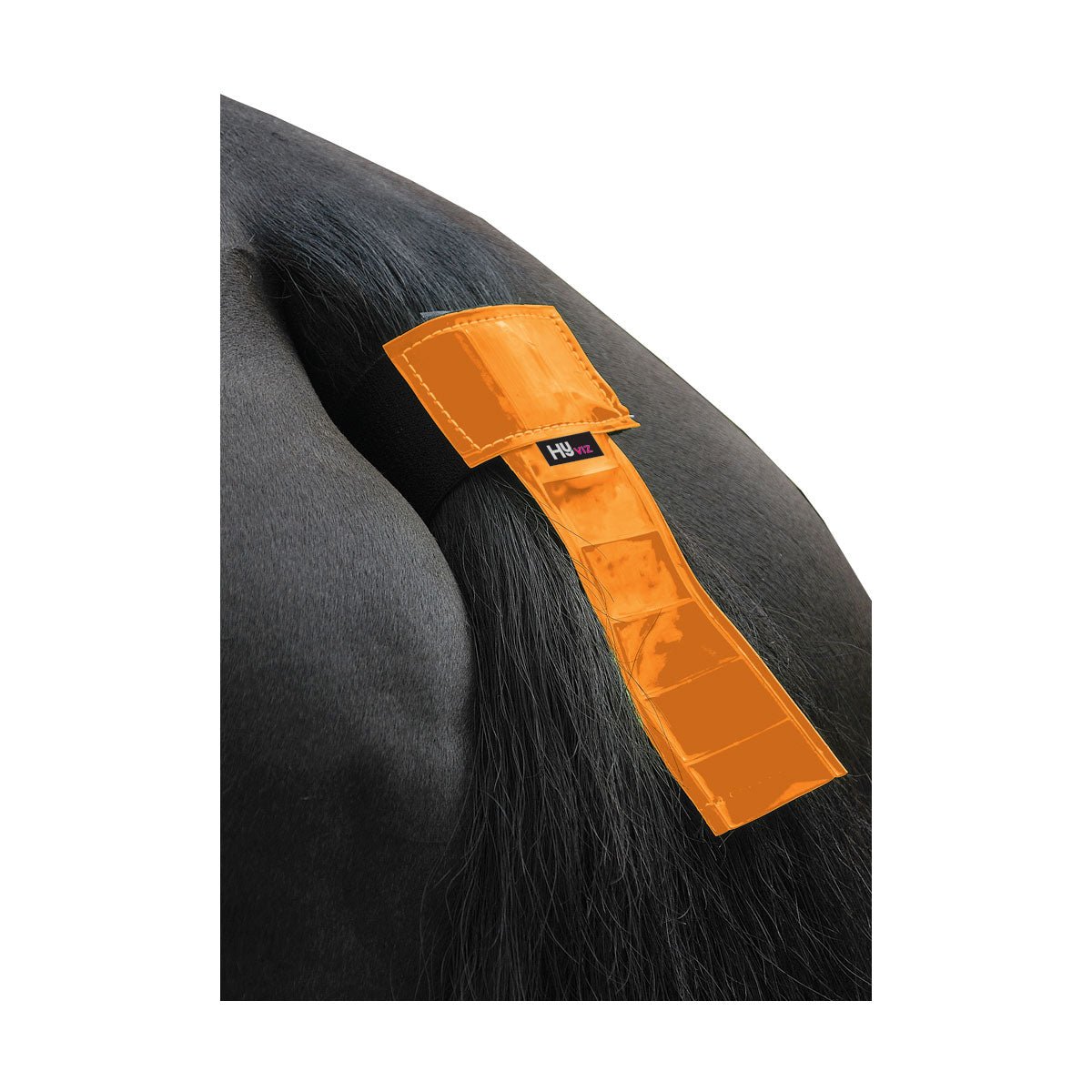 HyVIZ Tail Band - Nags Essentials