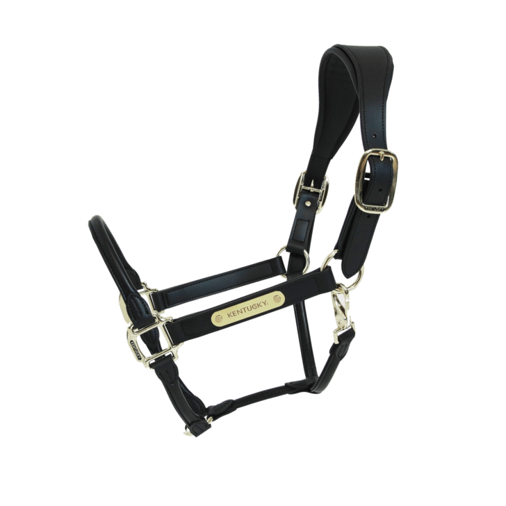 Kentucky Anatomic Leather Head Collar - Nags Essentials