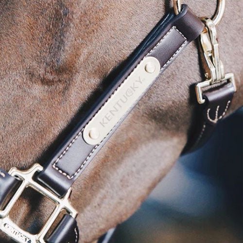 Kentucky Anatomic Leather Head Collar - Nags Essentials