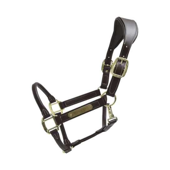 Kentucky Anatomic Leather Head Collar - Nags Essentials