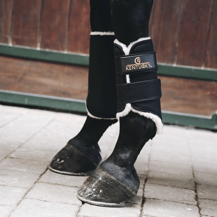 Kentucky Exercise Boots - Nags Essentials