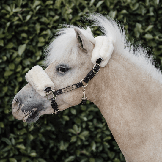 Kentucky Leather Halter Sheepskin - Nags Essentials