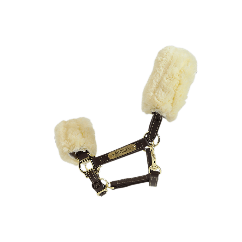 Kentucky Leather Halter Sheepskin - Nags Essentials
