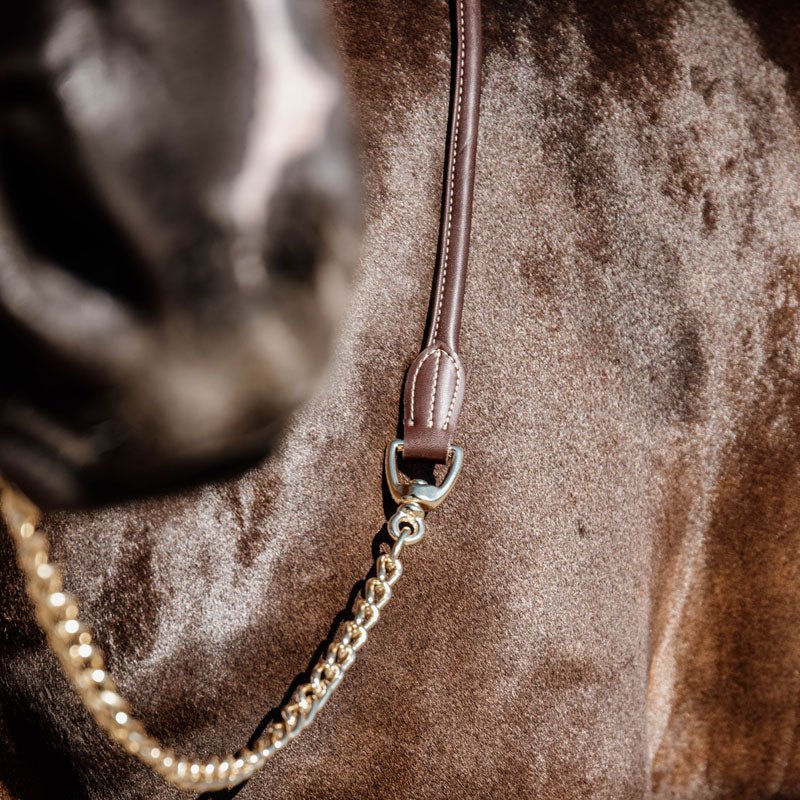 Kentucky Leather Lead Chain - Nags Essentials