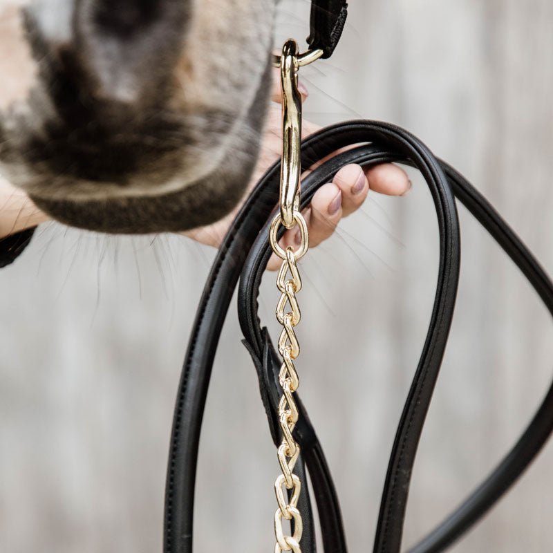 Kentucky Leather Lead Chain - Nags Essentials