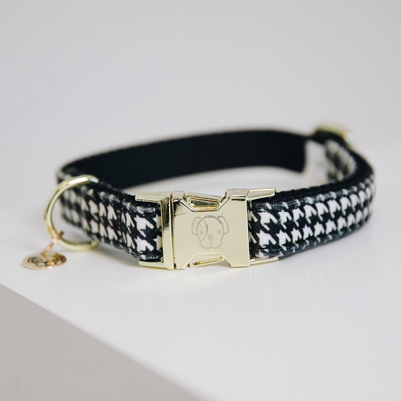 Kentucky Pied-de-Poule Dog Collar - Nags Essentials