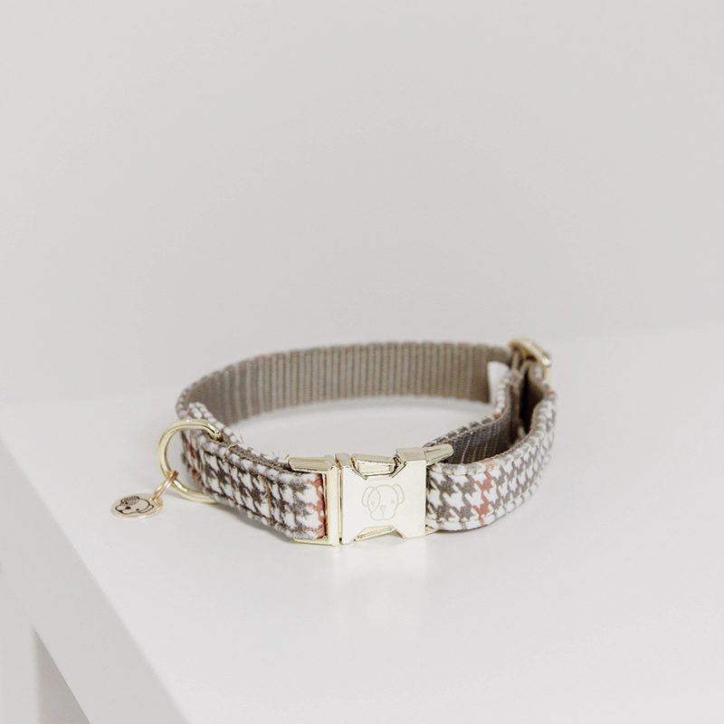 Kentucky Pied-de-Poule Dog Collar - Nags Essentials