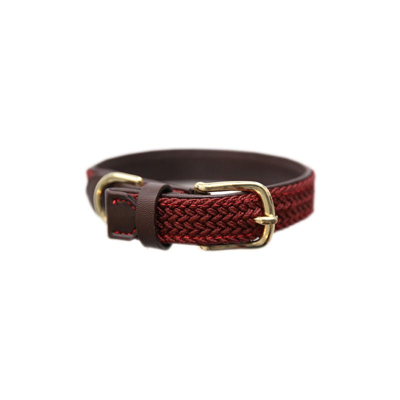 Kentucky Plaited Nylon Dog Collar - Nags Essentials