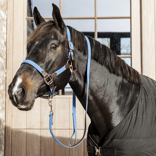 Kentucky Plaited Nylon Headcollar - Nags Essentials