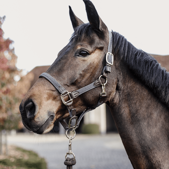 Kentucky Plaited Nylon Headcollar - Nags Essentials