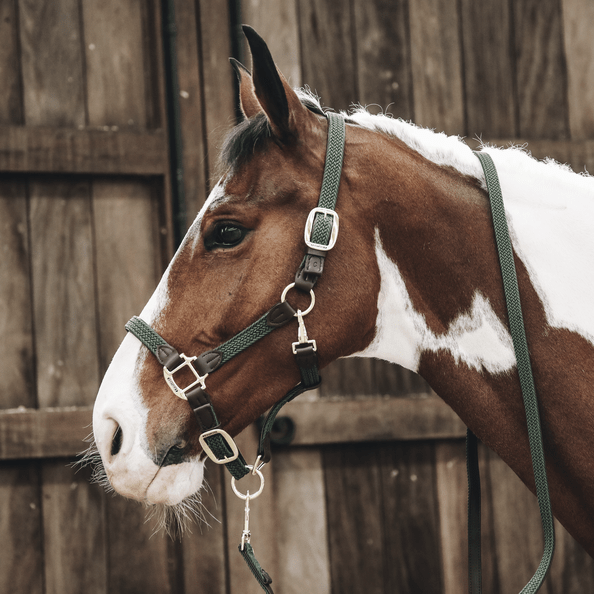 Kentucky Plaited Nylon Headcollar - Nags Essentials