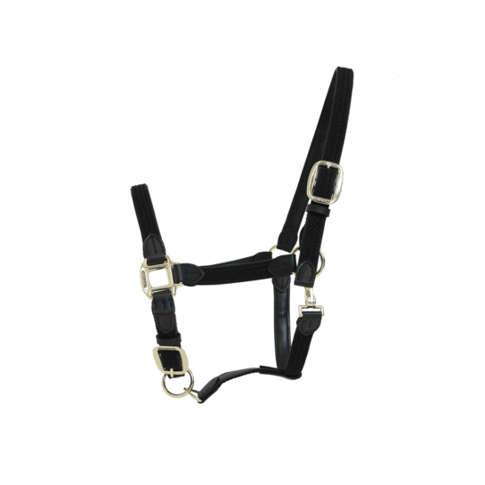 Kentucky Plaited Nylon Headcollar - Nags Essentials