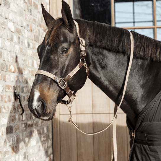 Kentucky Plaited Nylon Headcollar - Nags Essentials
