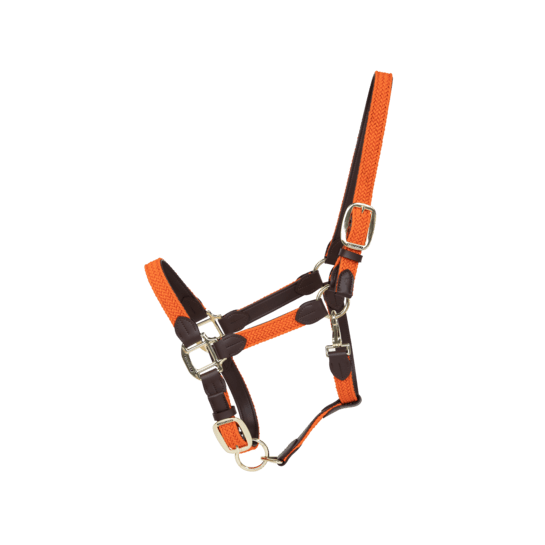 Kentucky Plaited Nylon Headcollar - Nags Essentials