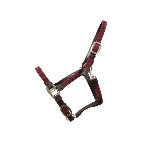 Kentucky Plaited Nylon Headcollar - Nags Essentials