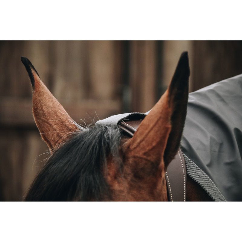 Kentucky Rain Rug Horse Rain Coat - Nags Essentials
