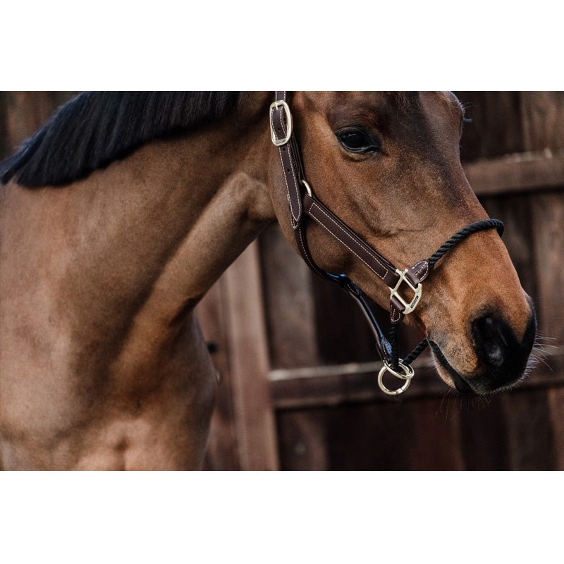 Kentucky Rope Headcollar - Nags Essentials