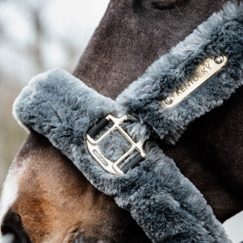 Kentucky Sheepskin Shipping Headcollar - Nags Essentials