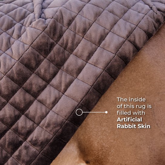 Kentucky Stable Rug 0g - Nags Essentials