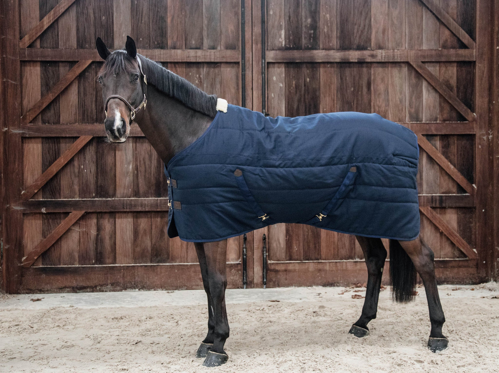 Kentucky Stable Rug Classic - Nags Essentials