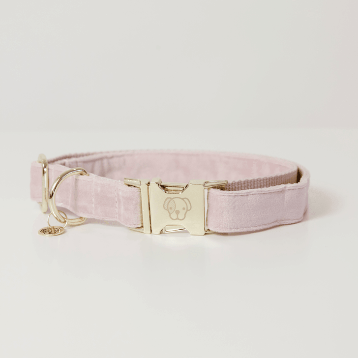 Kentucky Velvet Dog Collars - Nags Essentials