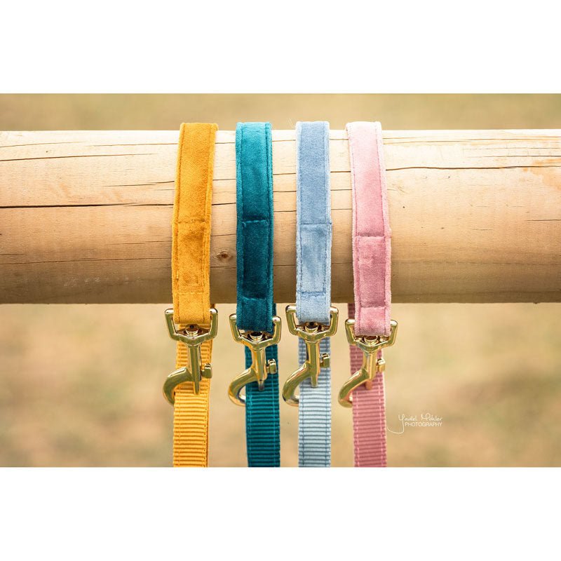 Kentucky Velvet Dog Lead - Nags Essentials
