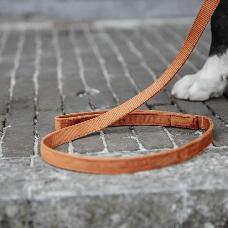 Kentucky Velvet Dog Lead - Nags Essentials