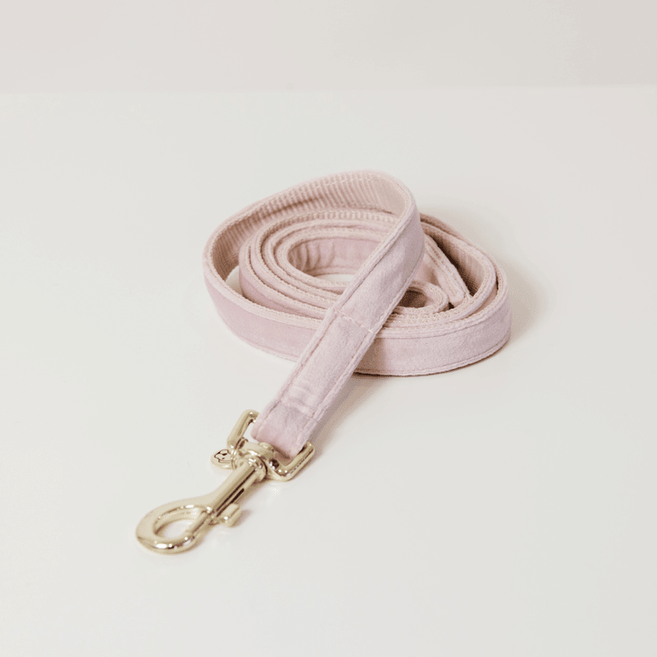 Kentucky Velvet Dog Lead - Nags Essentials