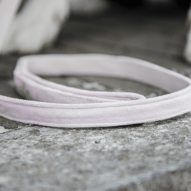 Kentucky Velvet Dog Lead - Nags Essentials