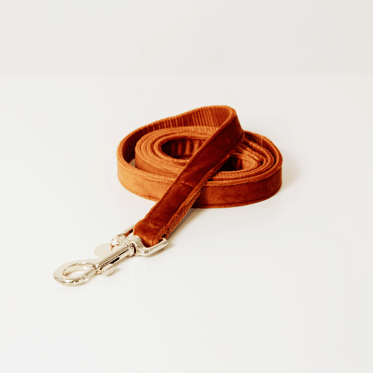 Kentucky Velvet Dog Lead - Nags Essentials