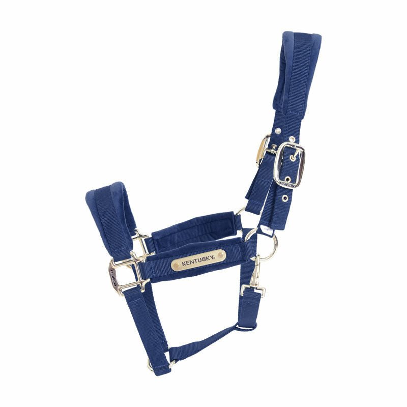 Kentucky Velvet Head Collar - Nags Essentials
