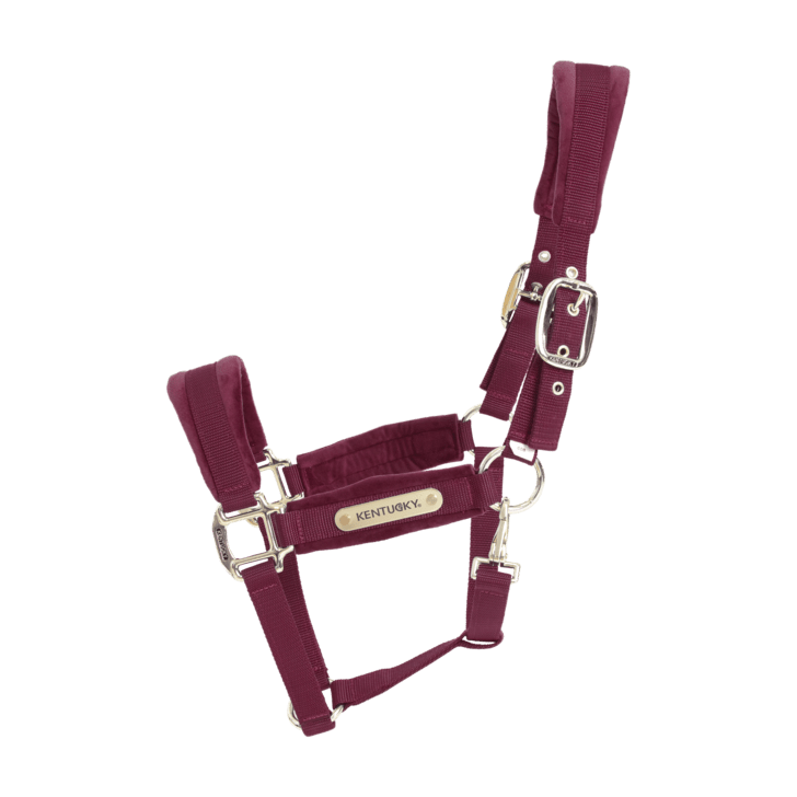 Kentucky Velvet Head Collar - Nags Essentials