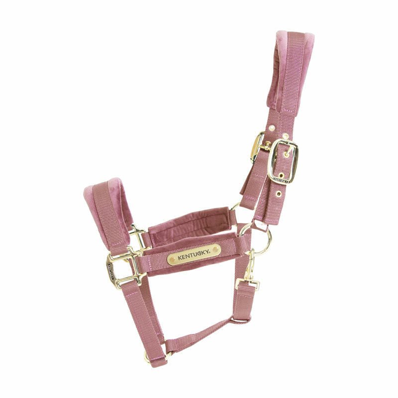 Kentucky Velvet Head Collar - Nags Essentials