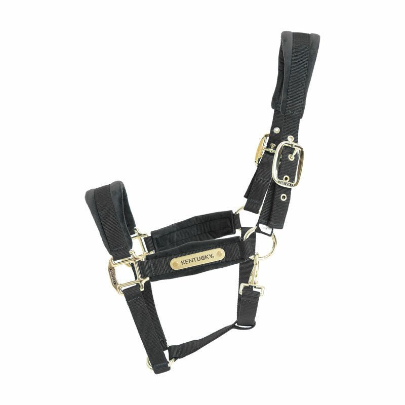 Kentucky Velvet Head Collar - Nags Essentials