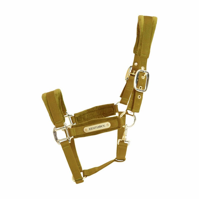 Kentucky Velvet Head Collar - Nags Essentials
