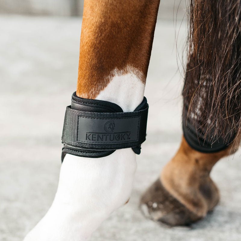 Kentucky Young Horse Fetlock Boots Air - Nags Essentials