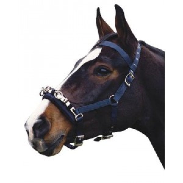 Kincade Lunge Cavesson - Nags Essentials