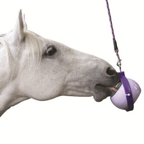Likit Boredom Buster - Nags Essentials