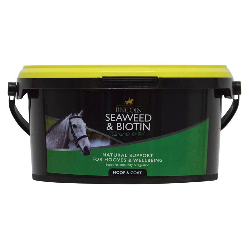 Lincoln Seaweed/Biotin - Nags Essentials