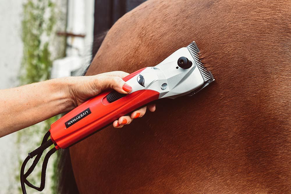 Liveryman Clipper Black Beauty Mains - Nags Essentials