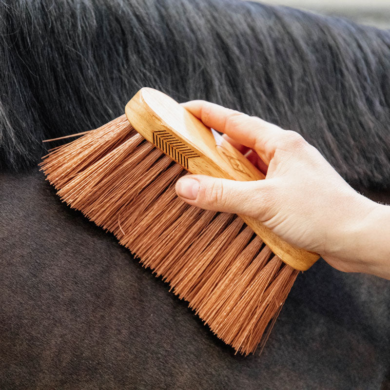 Grooming Deluxe Middle Brush Medium - Nags Essentials