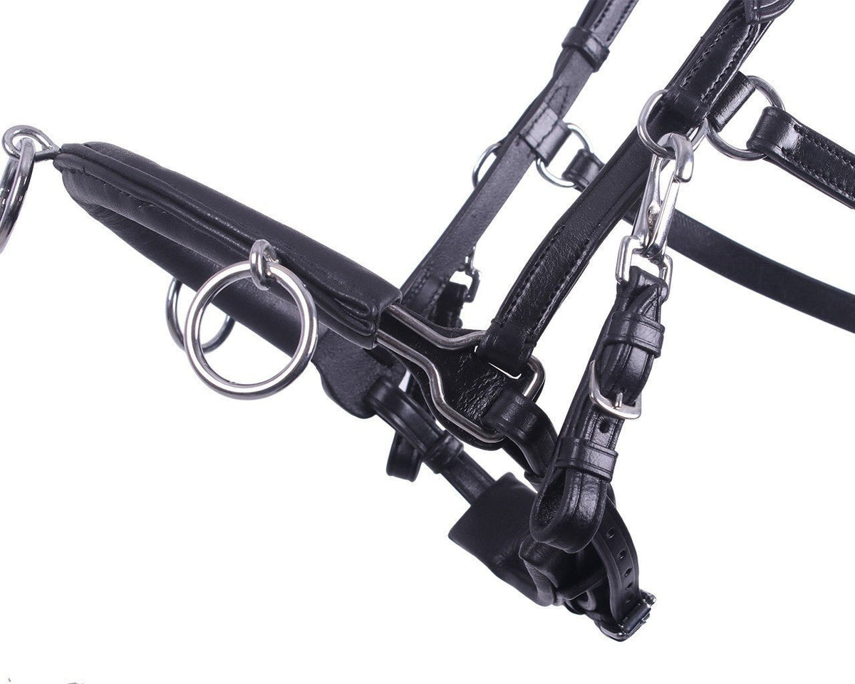 Multifunctional Leather Cavesson / Bridle - Black - Nags Essentials