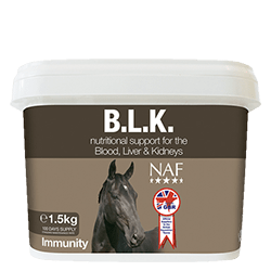 NAF BLK - Nags Essentials