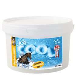 NAF Ice Cool - Nags Essentials