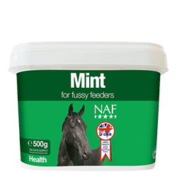 NAF Mint - Nags Essentials